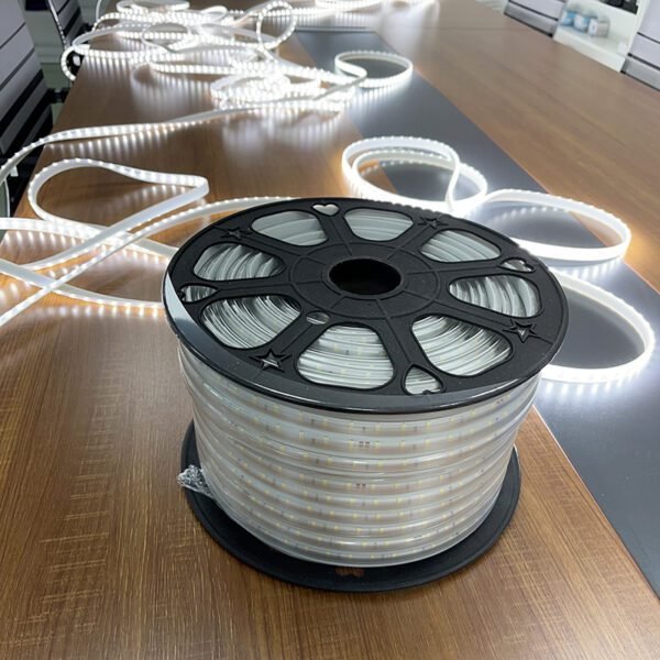 Best quality outdoor led strip lights 110V 220V