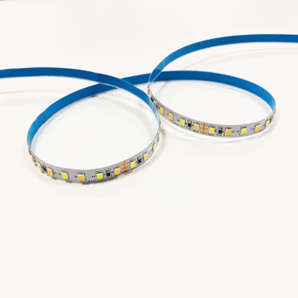 best dimmable strip lights 12V 8mm cool white and warm white