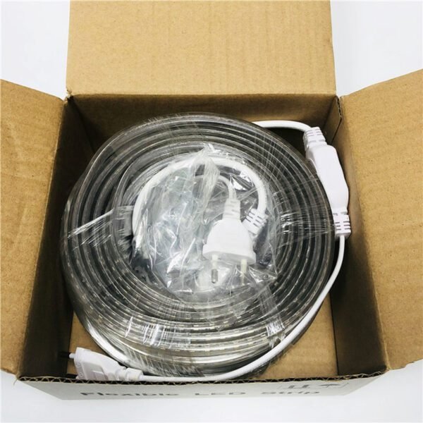 best outdoor strip lighting 110V 230V